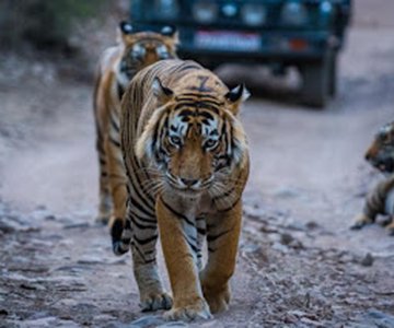 Nagarhole National Park